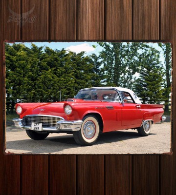 Металлическая табличка Ford Thunderbird 312
